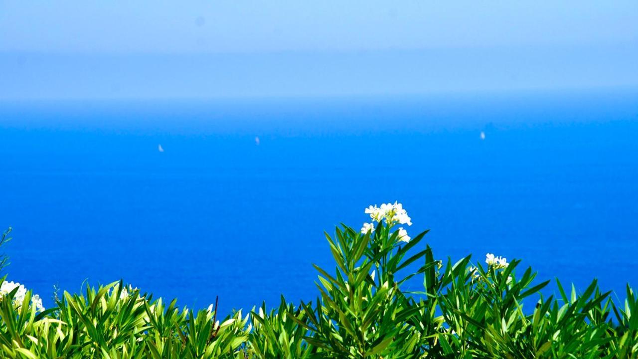 Villa Pétale de Rose Cavalaire-sur-Mer Extérieur photo